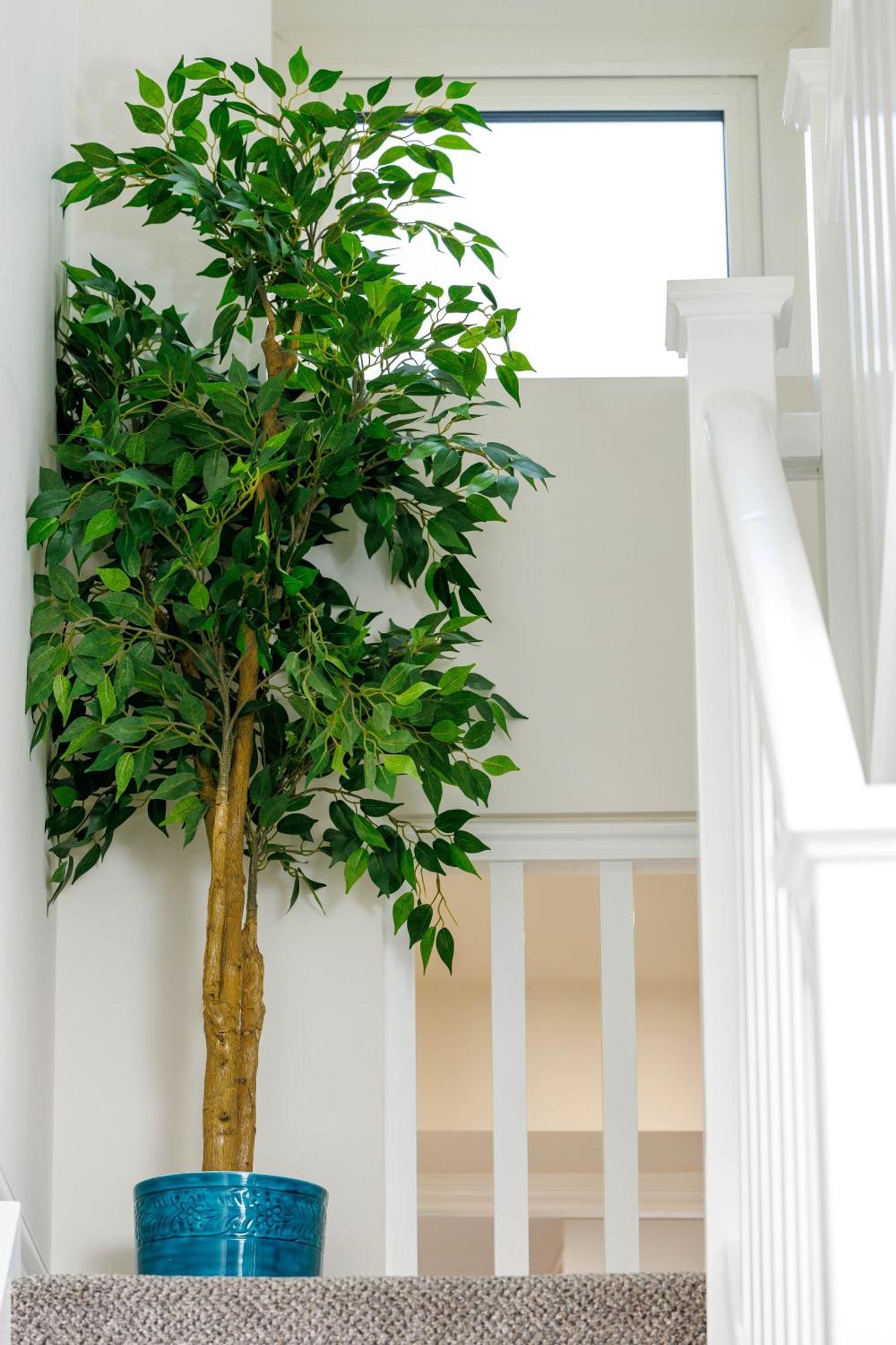 Sandbury Town House Kilkenny Buitenkant foto