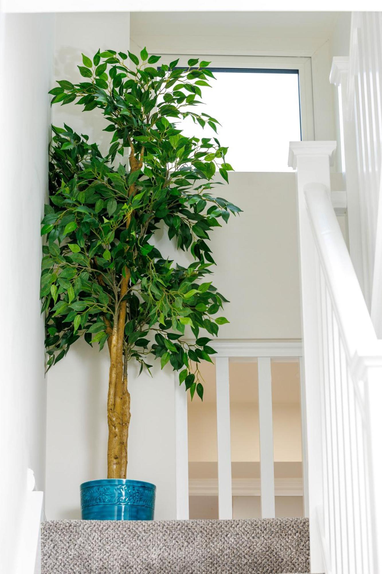 Sandbury Town House Kilkenny Buitenkant foto